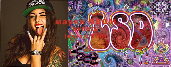 PSILOCYBIN Балахна
