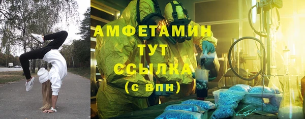 PSILOCYBIN Балахна