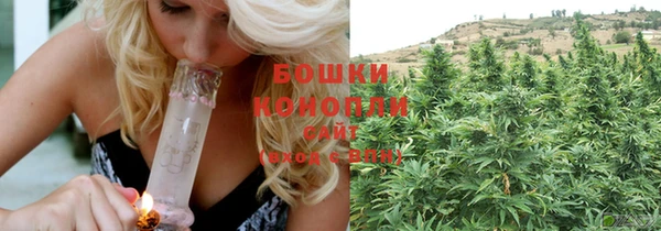 PSILOCYBIN Балахна