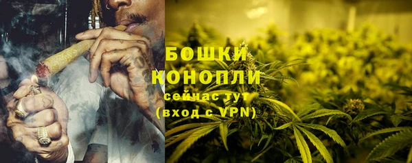 ГАЛЛЮЦИНОГЕННЫЕ ГРИБЫ Балабаново