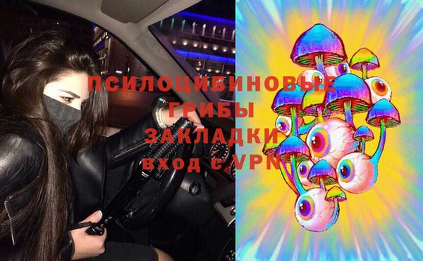 PSILOCYBIN Балахна