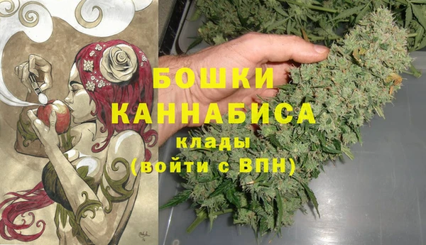 ГАЛЛЮЦИНОГЕННЫЕ ГРИБЫ Балабаново