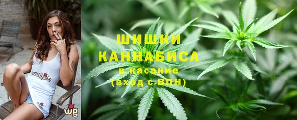 PSILOCYBIN Балахна